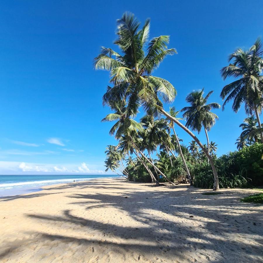 Hotel Bounty Ambalangoda  Luaran gambar