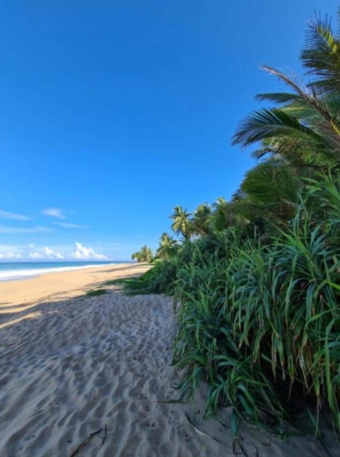 Hotel Bounty Ambalangoda  Luaran gambar