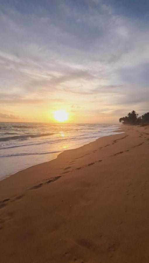 Hotel Bounty Ambalangoda  Luaran gambar